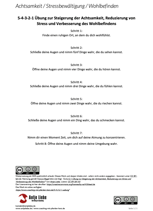 5-4-3-2-1 Übung zur Steigerung der Achtsamkeit, Reduzierung von Stress und Verbesserung des Wohlbefindens | Antje Liebe - Coaching mit Pferden Harz, pferdegestütztes COaching