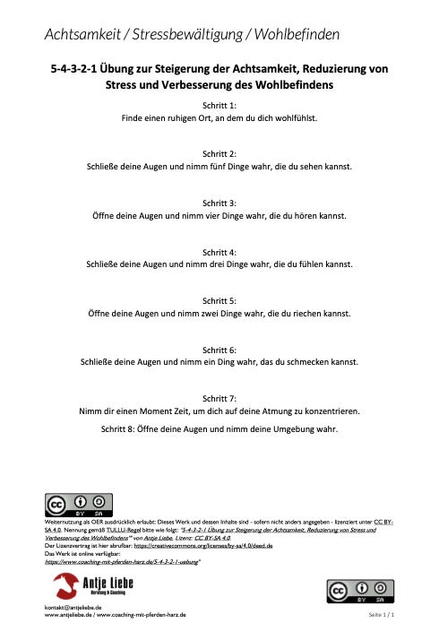 5-4-3-2-1 Übung zum Download 1 5-4-3-2-1 Übung zur Steigerung der Achtsamkeit, Reduzierung von Stress und Verbesserung des Wohlbefindens | Antje Liebe - Coaching mit Pferden Harz, pferdegestütztes COaching
